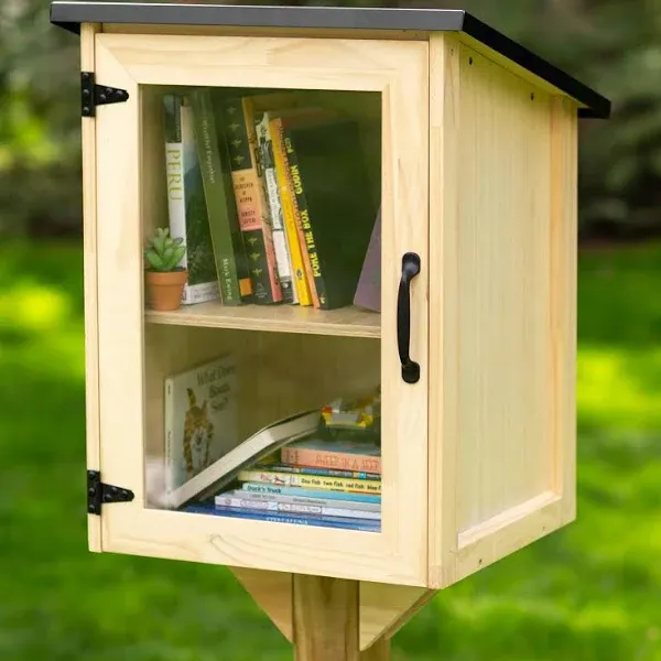 Ilyapa Outdoor Library Book Box