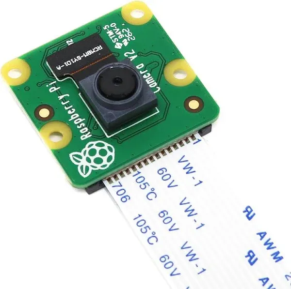 Raspberry Pi Camera Module