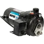 WAYNE CWS75 - 3/4 HP Cast Iron Convertible Jet Well Pump - Up to 462 Gallons Per Hour - Heavy Duty Jet Well Pump,Black