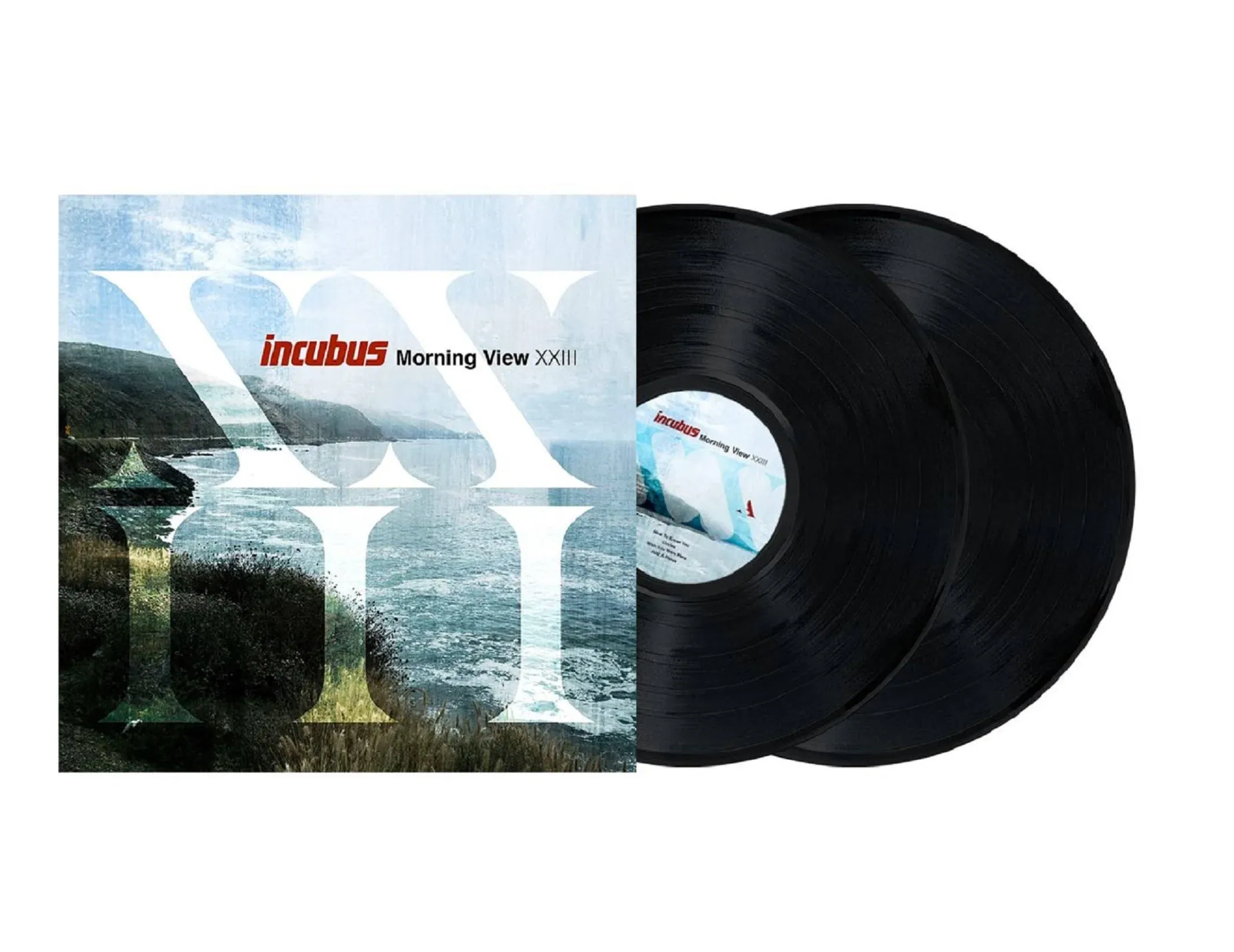 Incubus - Morning View XXIII (Vinyl)