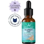 Jackson Galaxy: Scaredy Cat (2 oz.) - Pet Solution - Promotes Sense of Self-Confidence and Reassurance - Perfect for Cats Who Hide and Run from Touch - All-Natural Formula - Reiki Energy