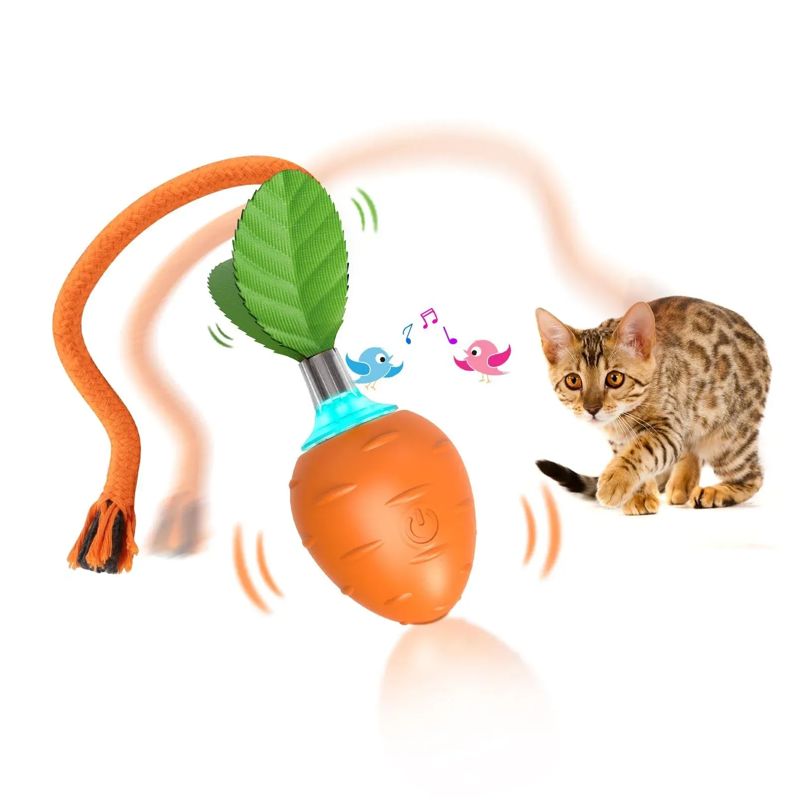 Giociv Interactive Cat Toys