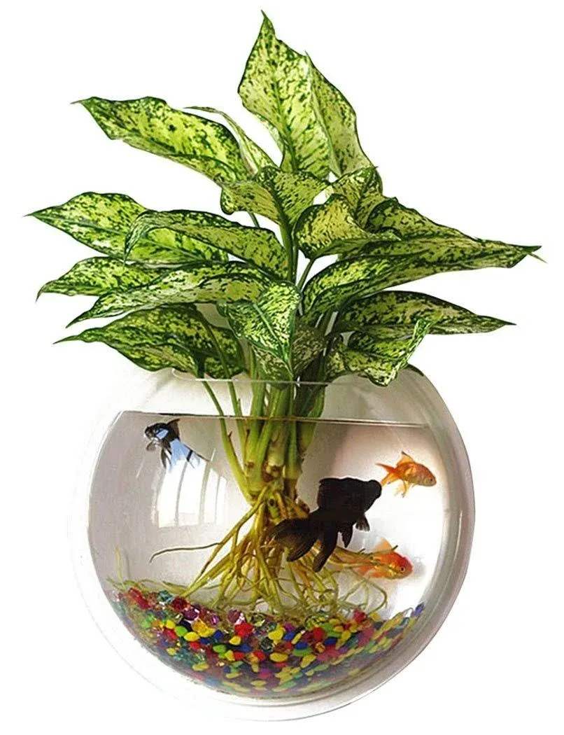 Outgeek Wall Fish Bubble Wall Hanging Bowl Clear Acrylic Vase Flower Plant Pot Aquarium 9in (0.5-Gallon)