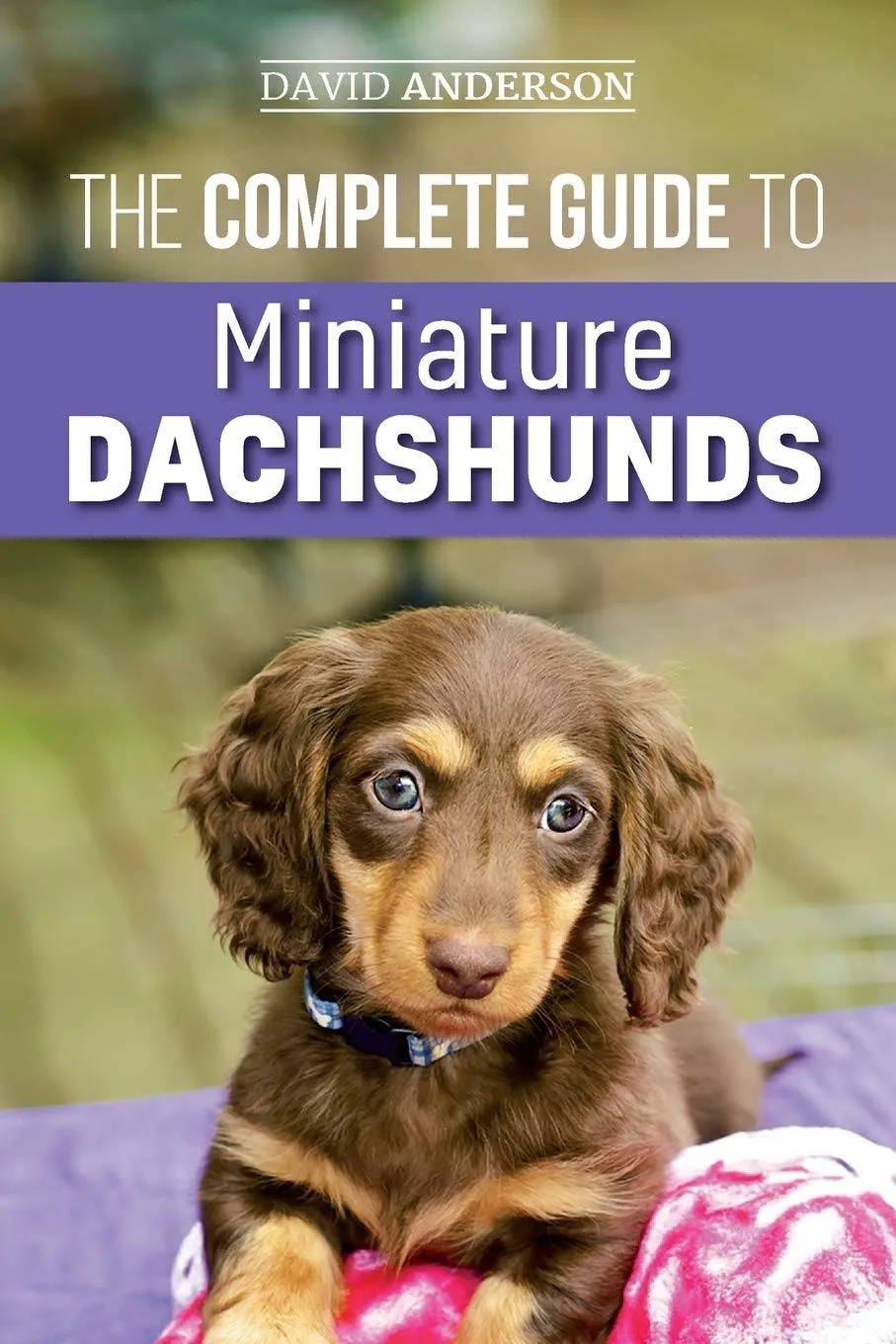 The Complete Guide to Miniature Dachshunds : A Step-by-Step Guide to Successfully ...