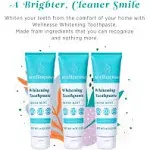 Wellnesse Whitening Toothpaste - Teeth Whitening Fluoride Free Natural Toothpaste - Fresh Mint - 3 Tubes, 4 oz - Made with Hydroxyapatite Powder, Gree