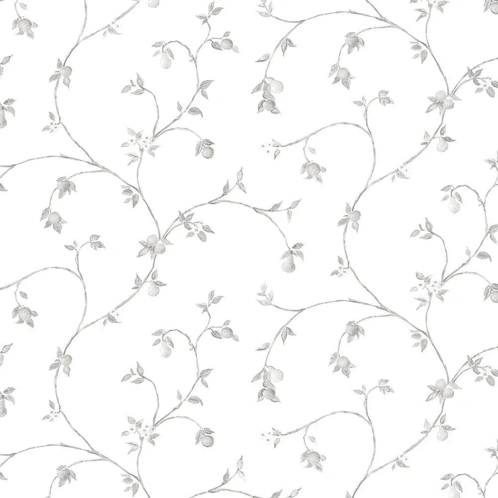 Norwall Wallpaper Fruit Trail CK36608