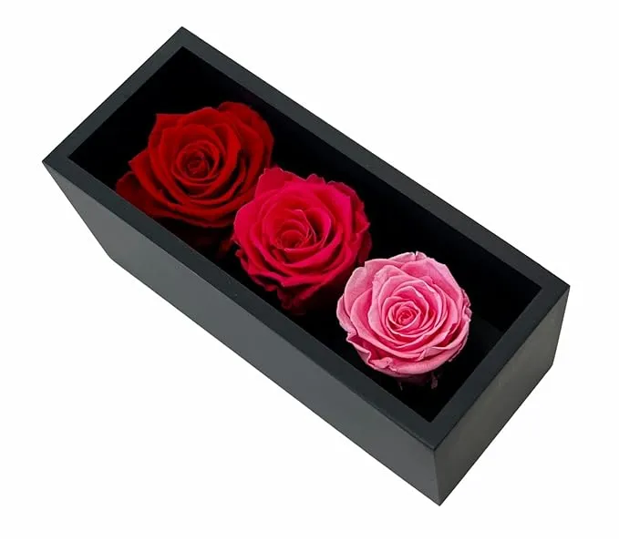 Graduation Preserved Roses in Wood Box, 3 Red/Pink Birthday Flowers for Delivery Prime, Everlasting Flowers, Natural Forever Roses That Last For Years, Eternal Rose, Gift for Mom