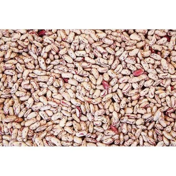 Commodity Beans Triple Clean Pinto Bean, 50 Pound