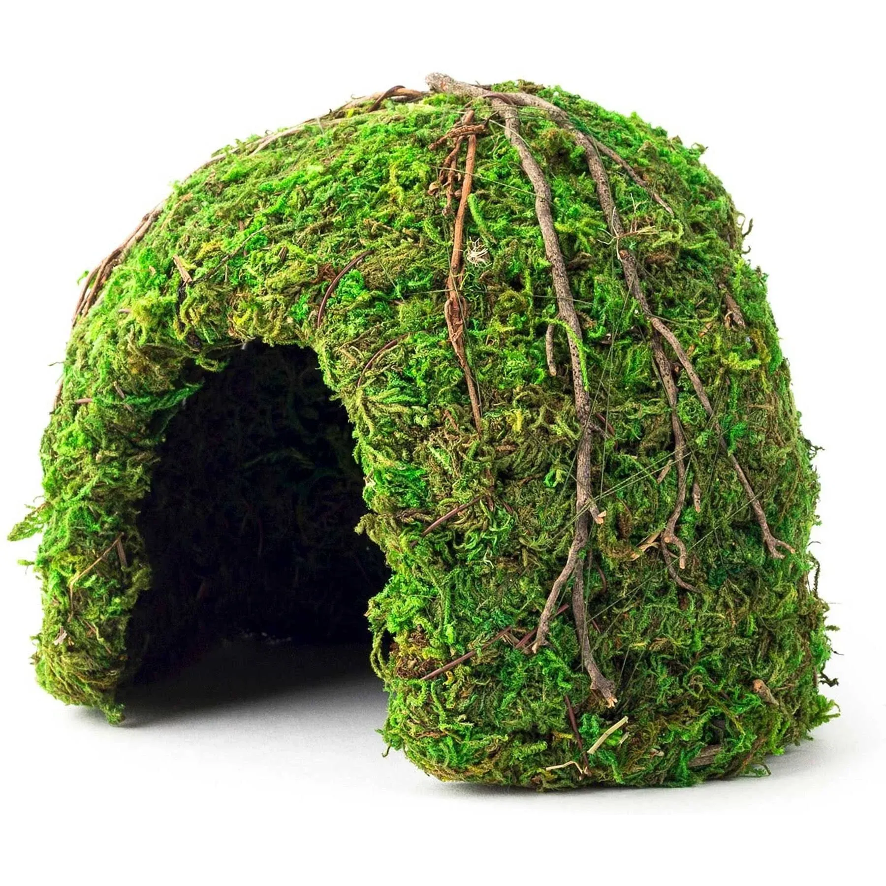 Galapagos Mossy Dome Terrarium Hideaway Fresh Green 9 in