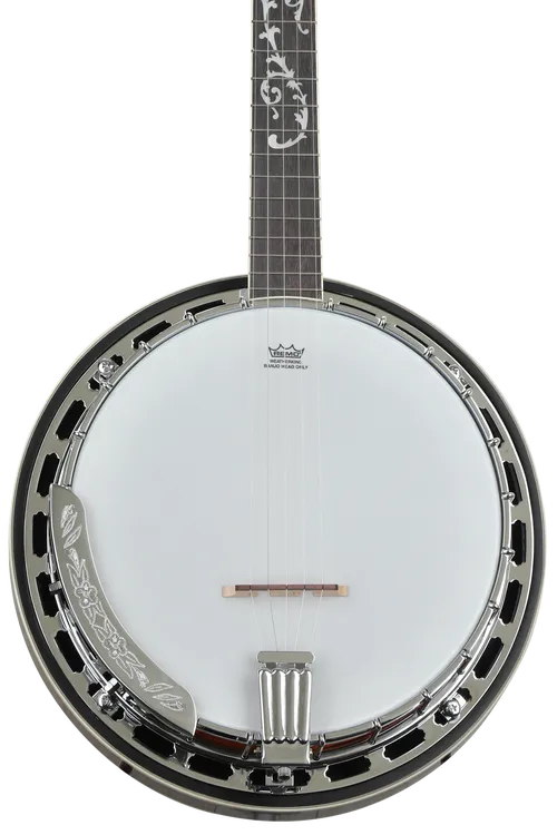 Ibanez B200 5-String Banjo