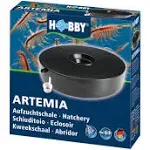 Hobby Artemia Hatchery