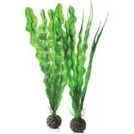 biOrb Easy Plant Set - Medium Green