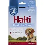 Halti Head Collar, Head Halter Collar for Dogs, Head Collar to Stop Pulling for Small Dogs