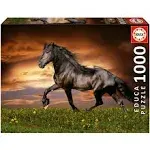 Puzzle Educa 1000 Pieces Horse