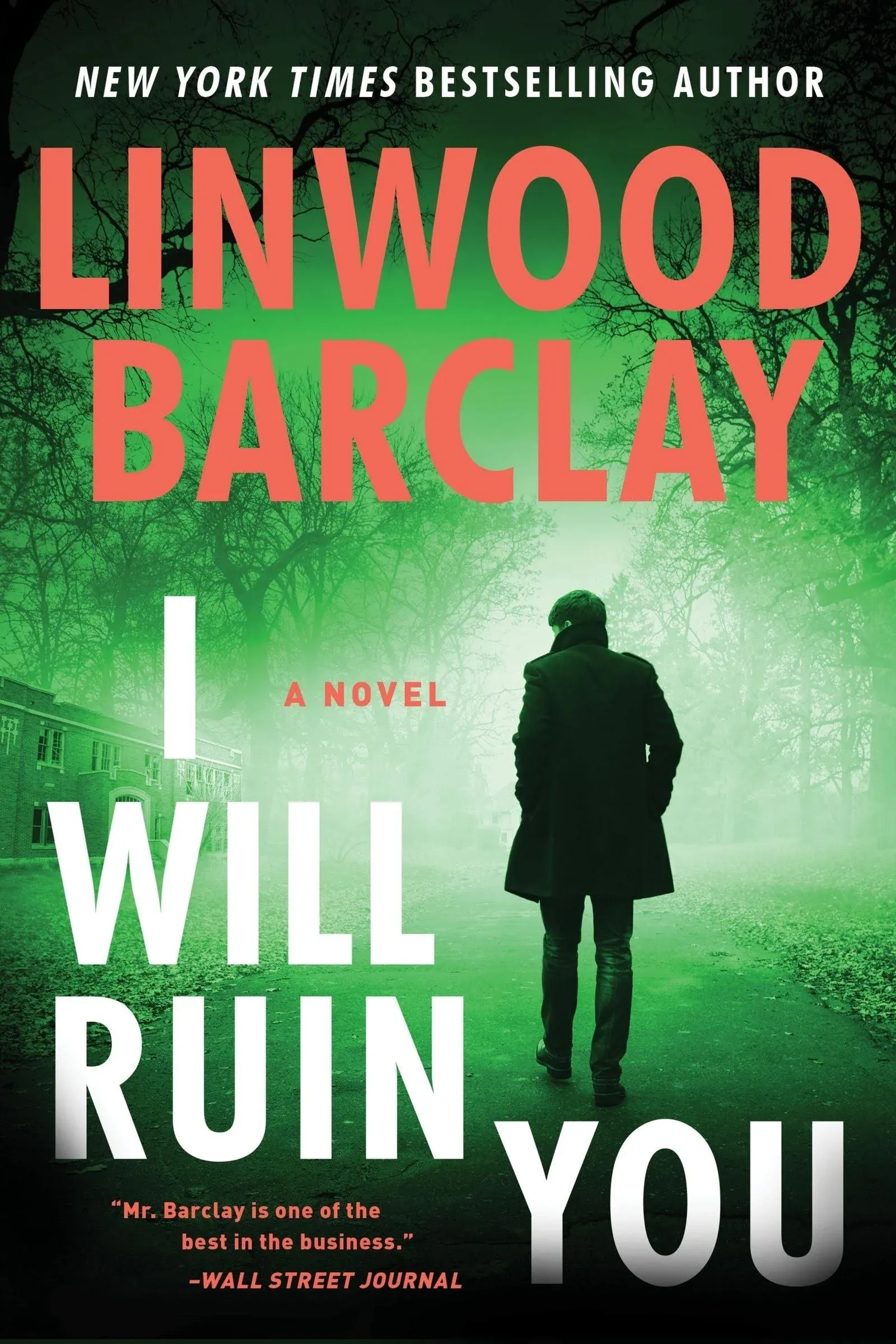 I Will Ruin You: A Novel