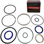 Hydraulic Log Splitter Cylinder Rebuild Seal Kit Compatible with 4.0"Bore x 1.75" Rod Cylinde (4.0"Bore x 1.75" Rod Cylinde)