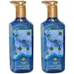 Bath & Body Works Gel Hand Soap 2-Pack 8oz/236ml Each (Frozen Lake).