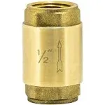 EZ-FLO Brass In-Line Check Valve, 1/2 Inch IPS, Stainless Steel Spring, 20401LF