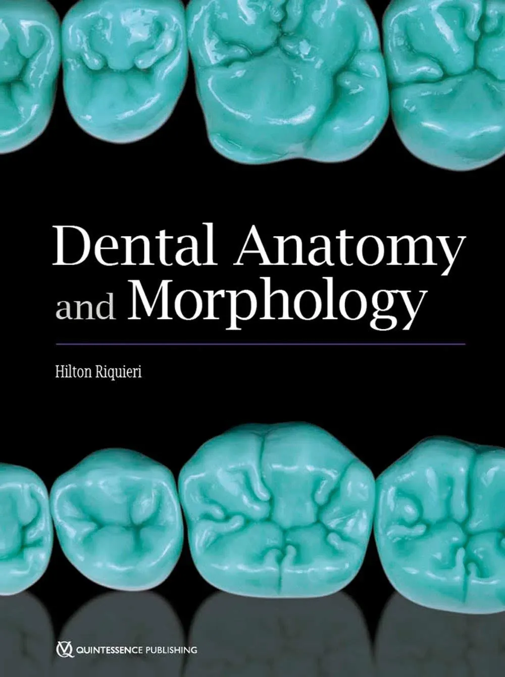 Dental Anatomy and Morphology