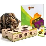 Cat Amazing - Best Cat Toy Ever! Interactive Treat Maze & Puzzle Feeder for Cats