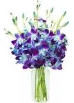 Kabloom Prime Next Day Delivery - Summer Collection - Bouquet of 10 Blue Orchid with Vase for .Gift for Birthday, Anniversary, Get Well, Thank you, VA