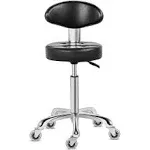 Kaleurrier Swivel Stool Chair Adjustable Height,Heavy Duty Hydraulic Rolling Metal Stool for Kitchen,Salon,Bar,Office,Massage (with Back Rest)