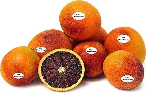 Fresh -GPS- Moro Deep Blood Oranges ( 3 Lbs-3.5 lbs )