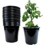 Viagrow VHPP100-24 VHPP Nursery Pots, 24 Pack, 1 Gallon, Black