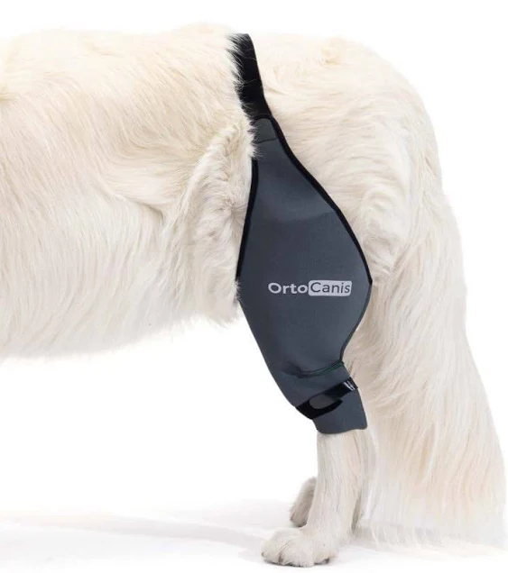 Ortocanis Dog Knee Brace for Torn Acl Hind Leg, Cruciate Ligament Injuries, Patella Dislocation or Osteoarthritis - Dog Acl Knee Brace - Dog Braces for Back Leg for Support (Large, Right Leg)