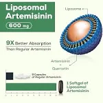 Osasuna 900 mg Liposomal Artemisinin for Maximum Absorption, Sweet Wormwood Extract(Artemisia Annua) with Quercetin Phytosome 200 mg, 60 Softgels - 2