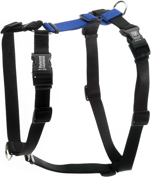 Blue-9 Buckle-Neck Balance Harness, Fully Customizable Fit No-Pull Harness, Ideal for Dog Training and Obedience, Made in The USA, Blue, Small