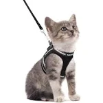 Rabbitgoo Escape Proof Cat Harness and Leash Set