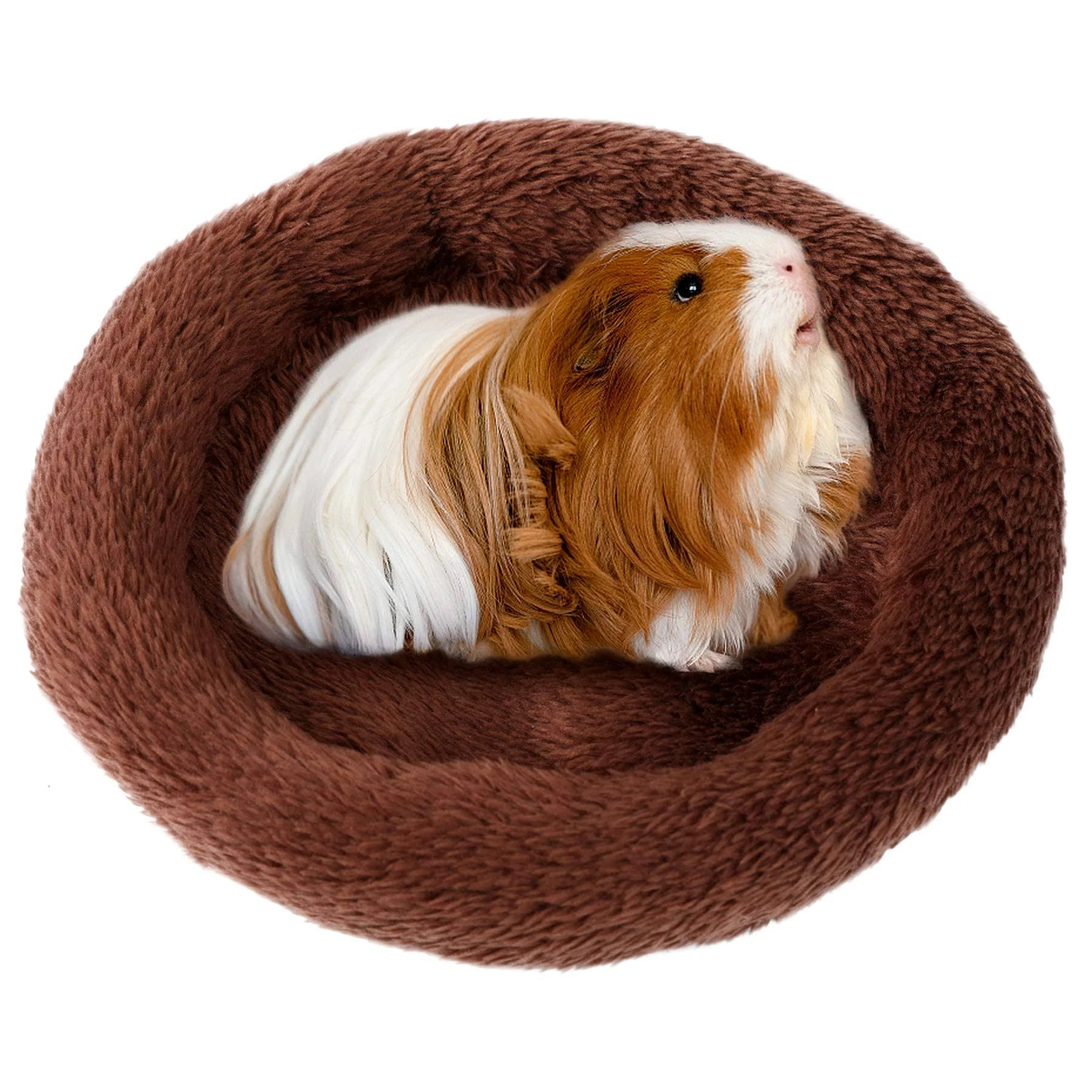 FEBSNOW Guinea Pig Beds, Hamster Bed Hedgehog Bed for Hamster/Hedgehog/Squirrel/Tortoise/Lizard and Other Small Animal (Coffee)