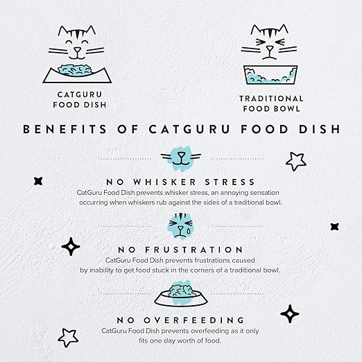 CatGuru Cat Bowls, Whisker Stress Free Cat Food Bowl, Reliefs Whisker Fatigue, Wide Cat Bowl, Non Slip Cat Food Bowls, Shallow Cat Dish, Cat Feeding & Watering Supplies (Set of 2, Stainless Steel)