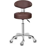 Kaleurrier Swivel Stool Chair Adjustable Height,Heavy Duty Hydraulic Rolling Metal Stool for Kitchen,Salon,Bar,Office,Massage (with Back Rest) (Coffee)