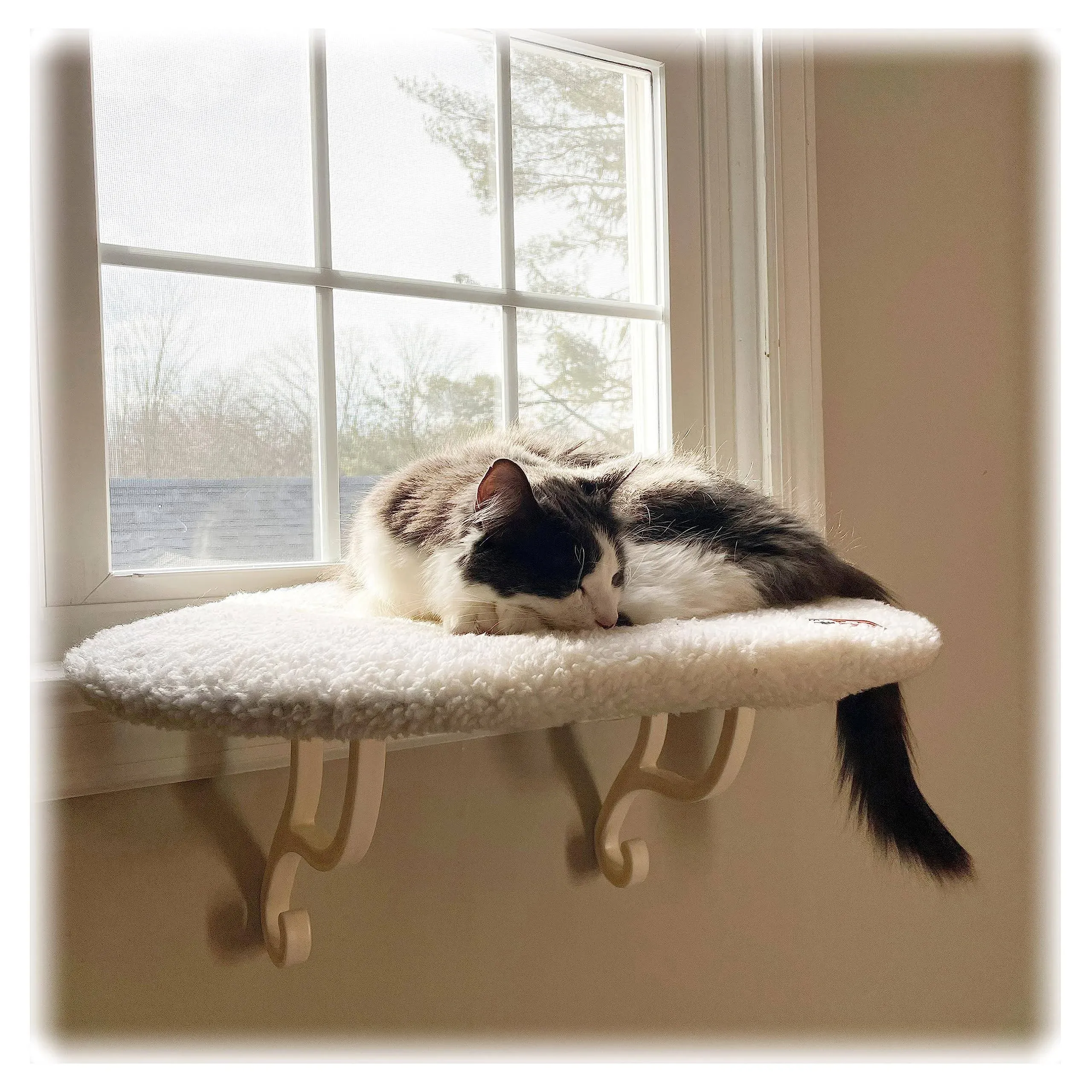 Kitty Sill Window Sill Cat Perch, Cat Window Perch for Large Cats, Cat Window...