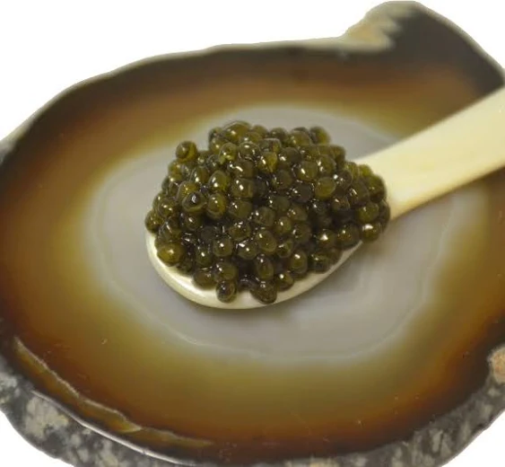 OVERNIGHT SHIPPING - OLMA Siberian Osetra Aurora Black Caviar - Medium Grain Pearls, Superior Grade - 1 oz / 28 g