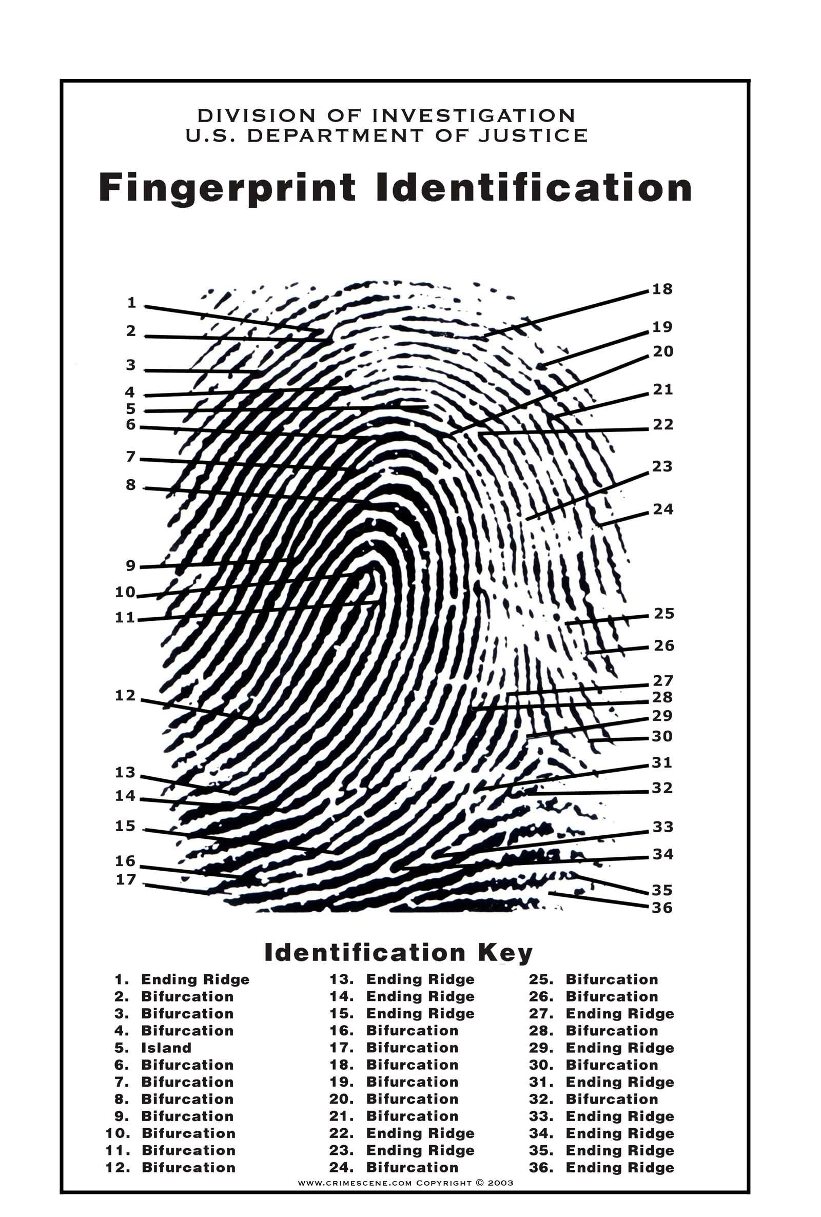 Crime Scene Fingerprint Chart