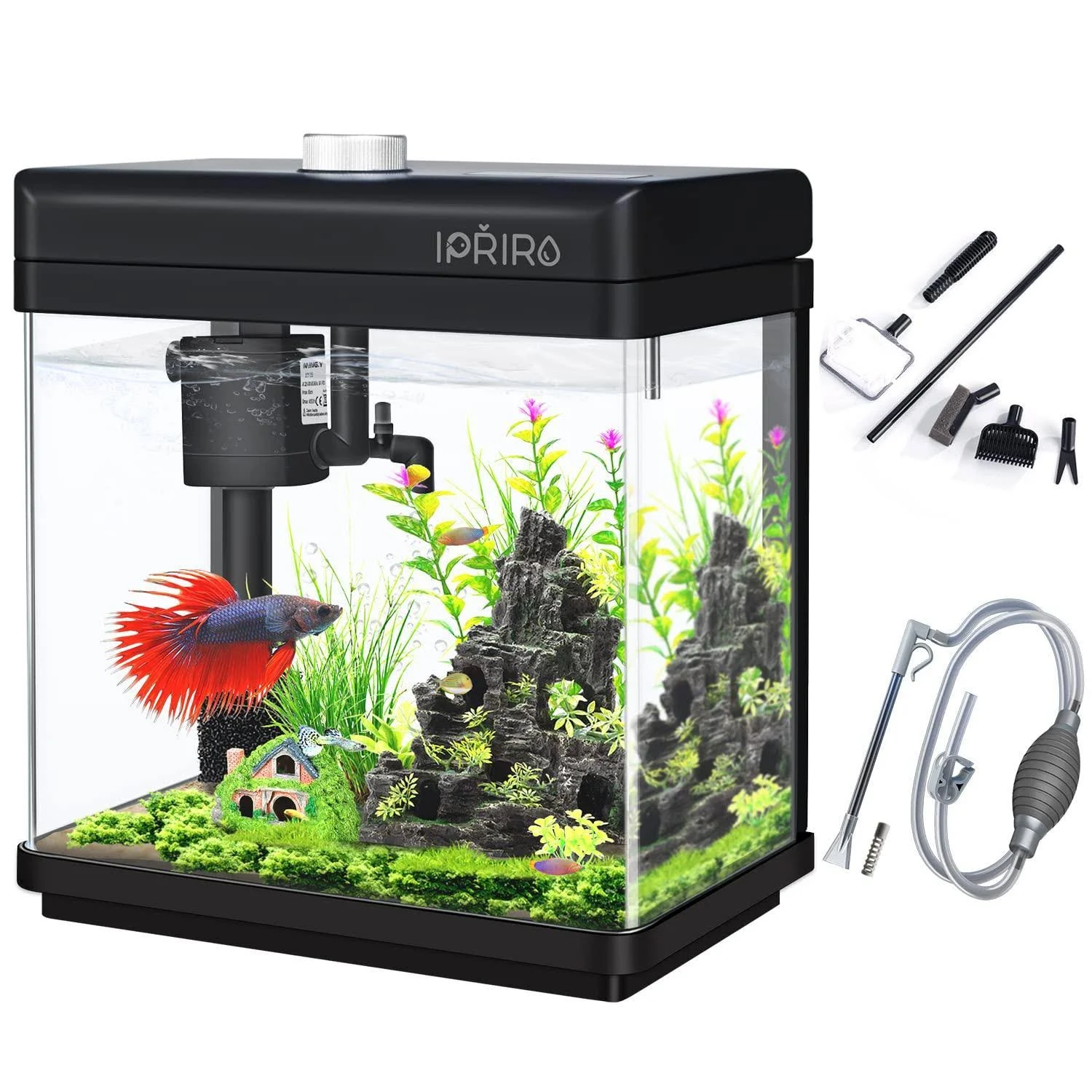 iPriro Glass Betta Aquarium Starter Kits Fish Tank with LED Light and Temp Displ