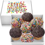 Happy Birthday Cupcakes Large Gift Basket Rainbow Sprinkle Chocolate Sprinkle | 7 Individually Wrapped Fresh Cupcakes | Party Food Gift