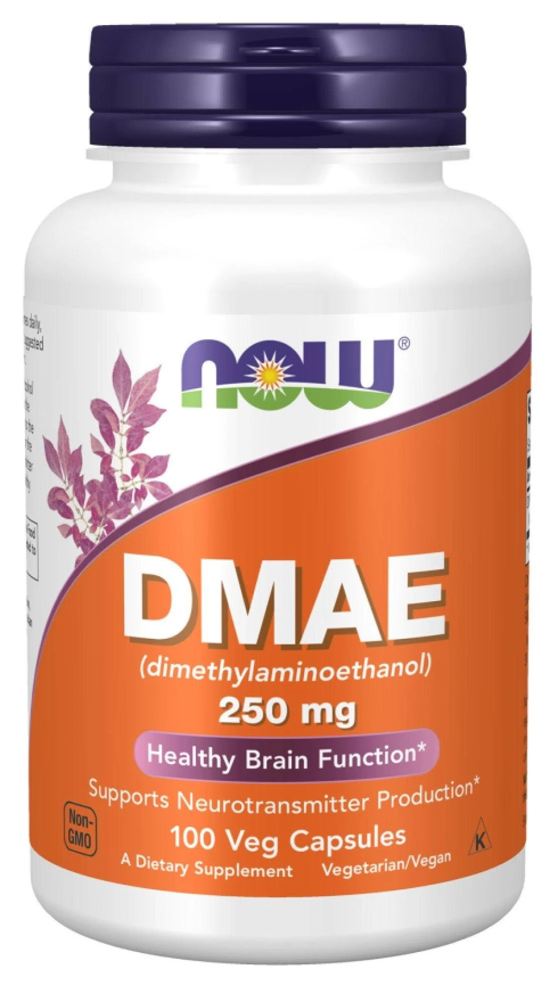 NOW Dmae 250mg , 100 Capsules(Pack of 2)