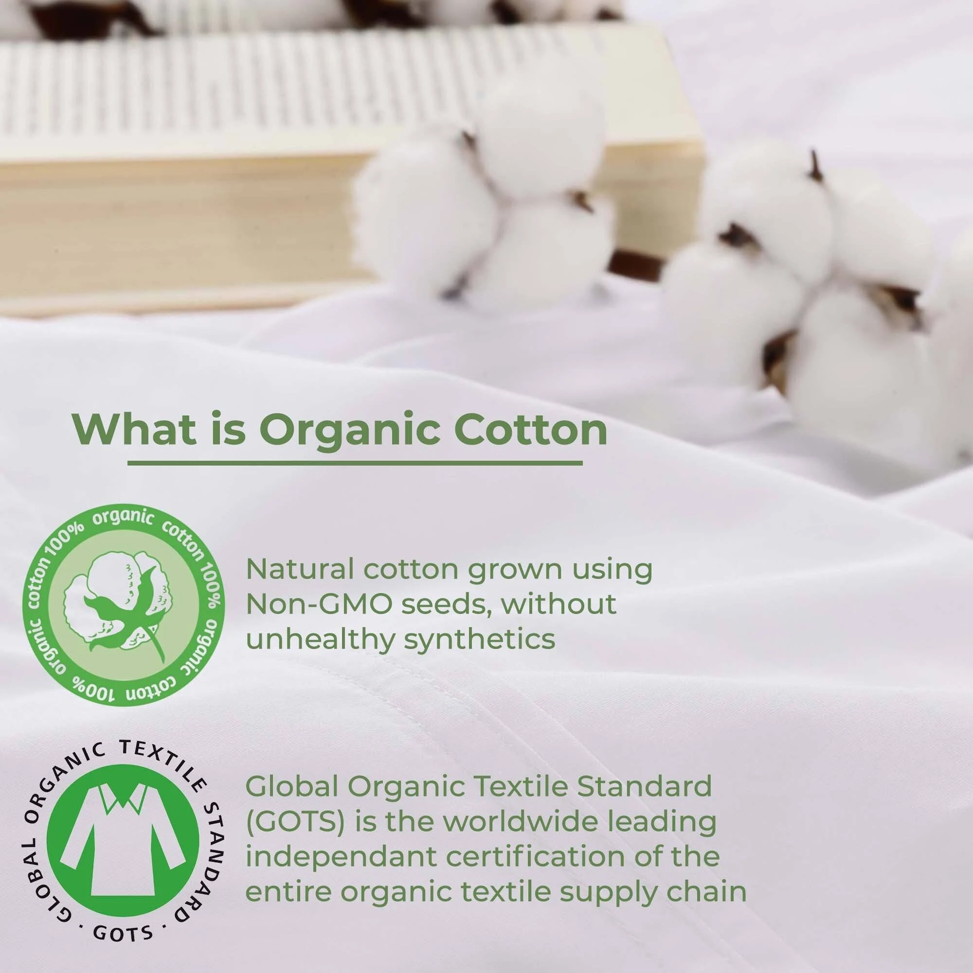 Superior Organic Cotton 300 Thread Count Deep Pocket Fitted Bed Sheet White / Twin XL