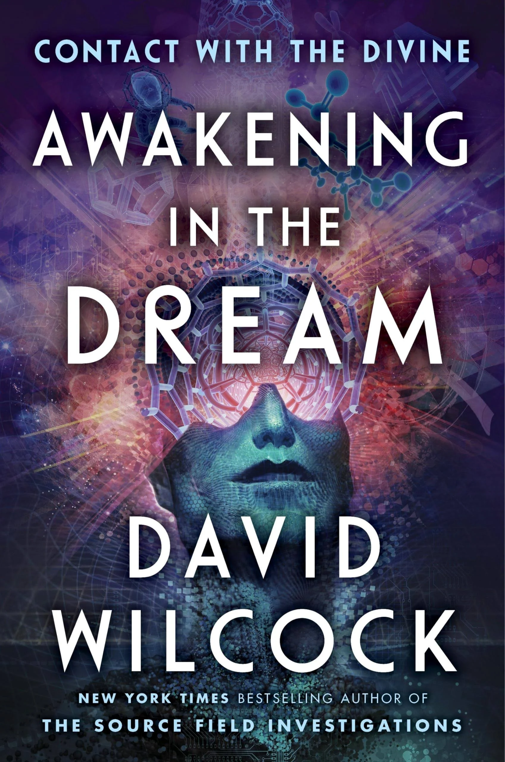 Awakening in the Dream: Contact with the Divine [Book]