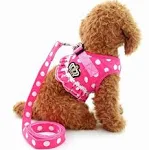 SELMAI Puppy Cat Small Girl Dog Dots Vest Harness Leash Set Mesh Padded