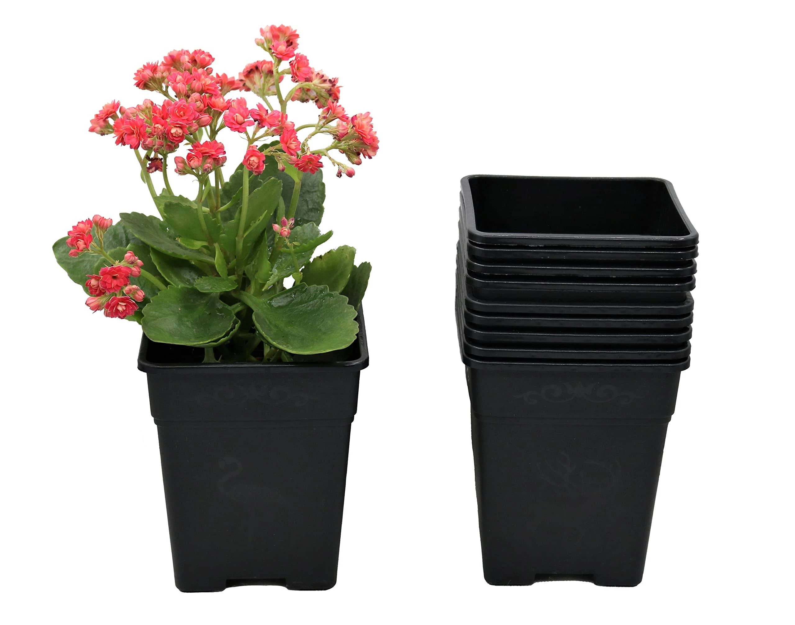 Cotta Planters Square Nursery Pot 05 Gallon Plastic Planters for Outdoor Indoor Plants 10-Pack with Drainage Holes