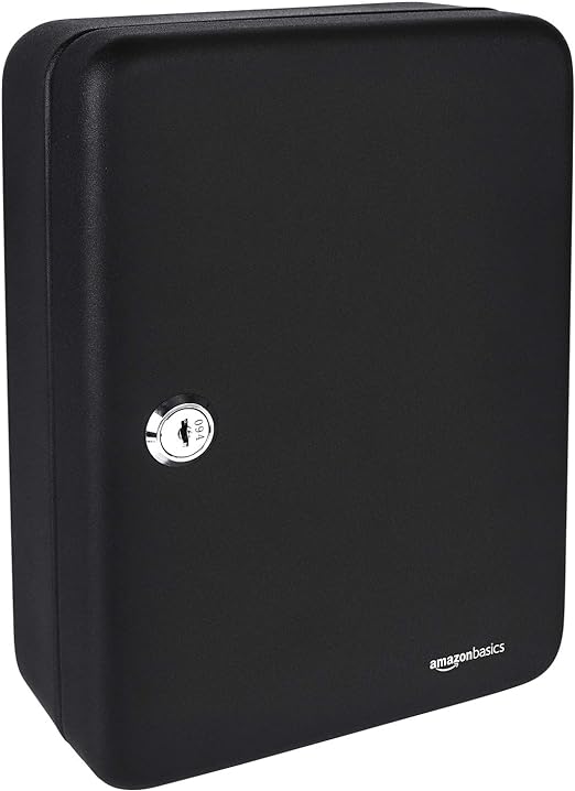 Amazon Basics Locking Steel Cabinet Security Lock Box With 48 Key Hooks, Black, 2.8" D x 7" W x 9.8" H