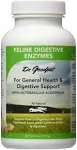 Feline Digestive Enzymes