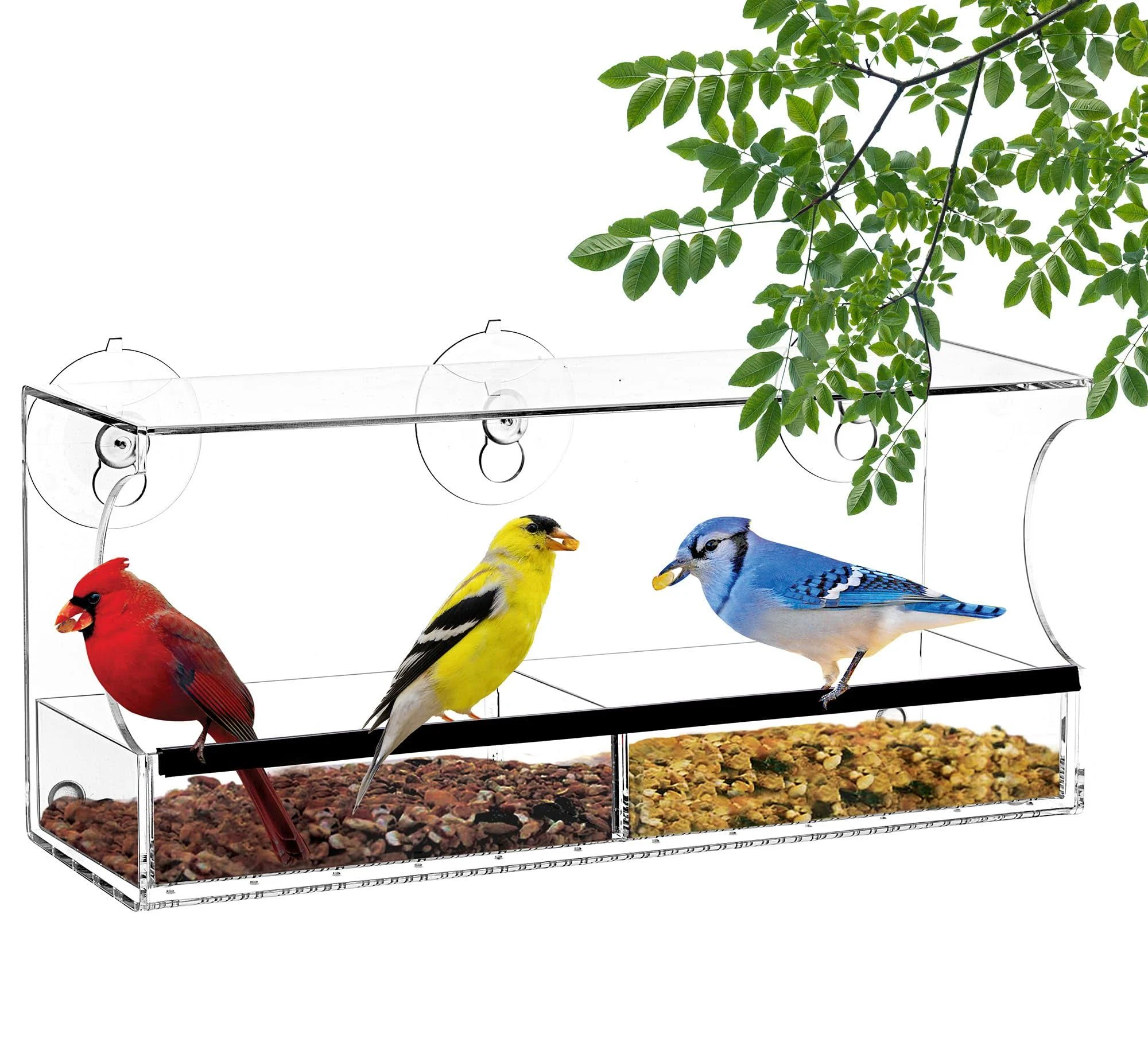 Best Window Bird Feeder with Strong Suction Cups and Seed Tray