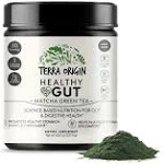 Terra Origin, Healthy Gut, Mint, 7.83 oz (222 g)