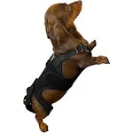 Labra Dog Canine K9 Back Brace (extra Small), Size: XS, Black